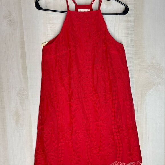Altar’d State red sleeveless spaghetti strap lined dress, size small - Picture 3 of 16